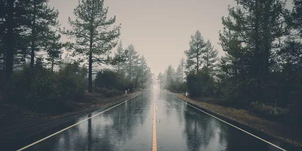 Rainy road through forest representing the journey through anger management